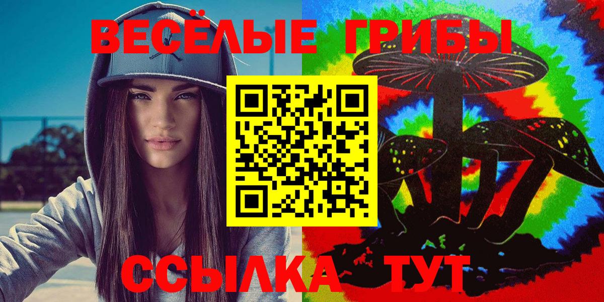 Псилоцибиновые грибы ЛСД  Вход с VPN  Выборг  Псилоцибиновые грибы мухоморы 
